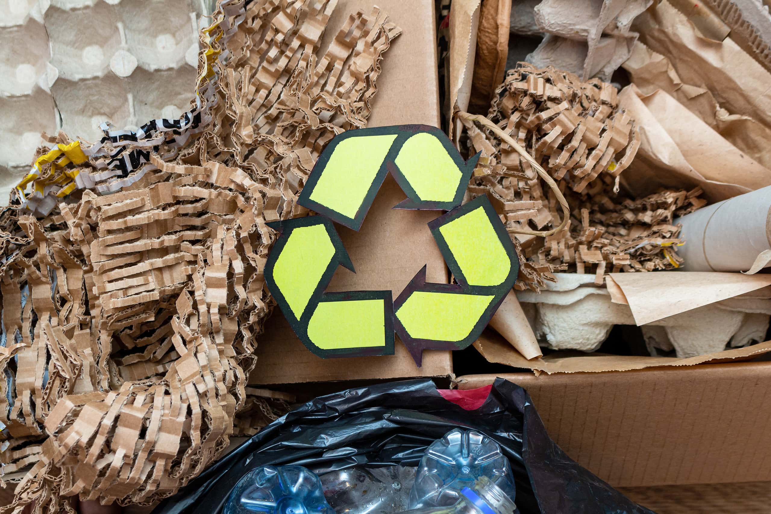 Wurzer Umwelt